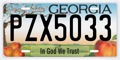 GA license plate PZX5033