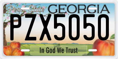 GA license plate PZX5050