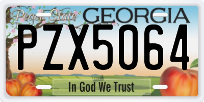 GA license plate PZX5064