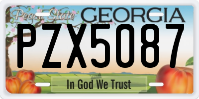 GA license plate PZX5087