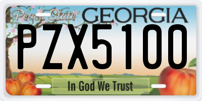 GA license plate PZX5100