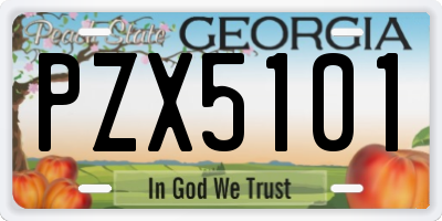 GA license plate PZX5101