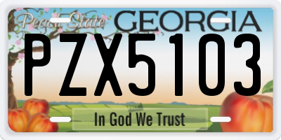 GA license plate PZX5103