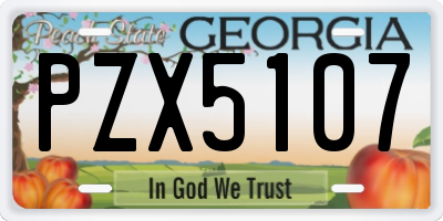 GA license plate PZX5107