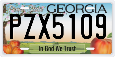 GA license plate PZX5109