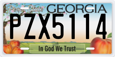 GA license plate PZX5114