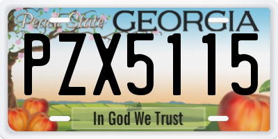 GA license plate PZX5115