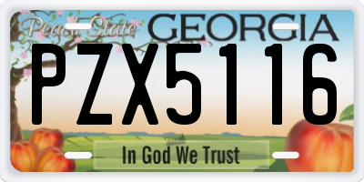 GA license plate PZX5116