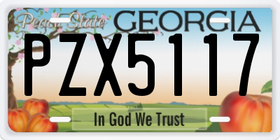 GA license plate PZX5117