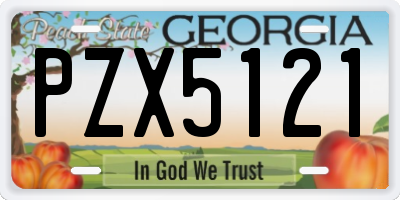 GA license plate PZX5121
