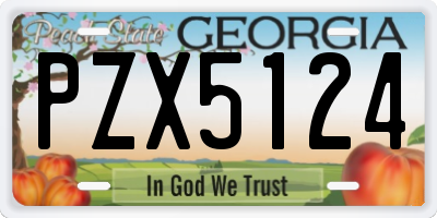 GA license plate PZX5124