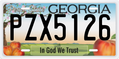 GA license plate PZX5126