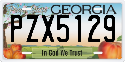 GA license plate PZX5129