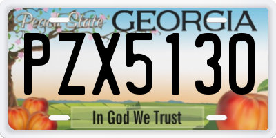 GA license plate PZX5130
