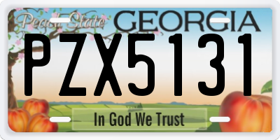GA license plate PZX5131