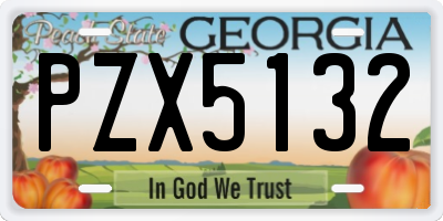GA license plate PZX5132