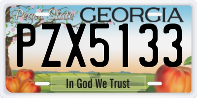 GA license plate PZX5133