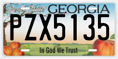 GA license plate PZX5135