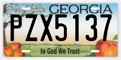 GA license plate PZX5137