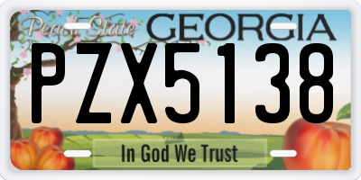 GA license plate PZX5138