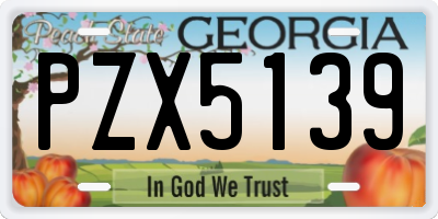 GA license plate PZX5139