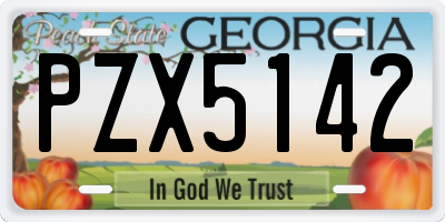 GA license plate PZX5142