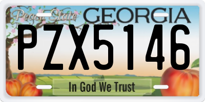 GA license plate PZX5146