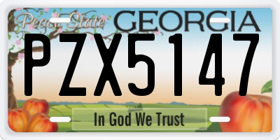 GA license plate PZX5147
