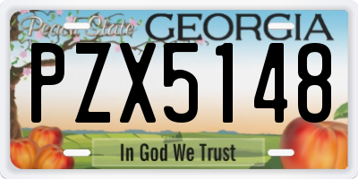 GA license plate PZX5148
