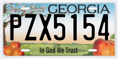 GA license plate PZX5154