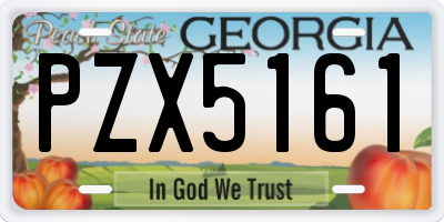 GA license plate PZX5161
