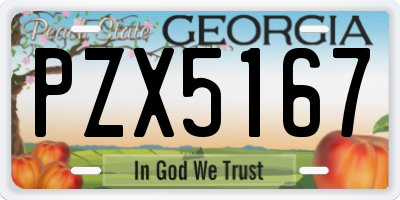 GA license plate PZX5167