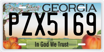GA license plate PZX5169