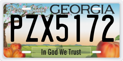 GA license plate PZX5172