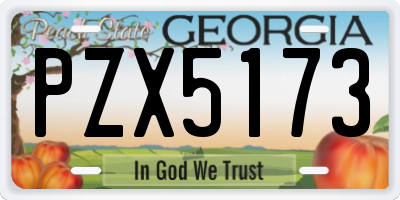 GA license plate PZX5173