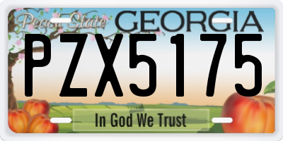 GA license plate PZX5175