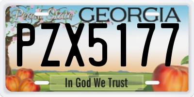 GA license plate PZX5177
