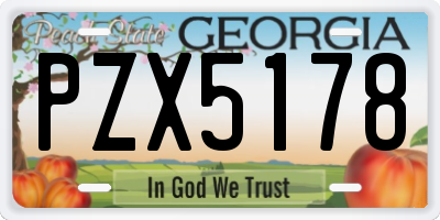 GA license plate PZX5178