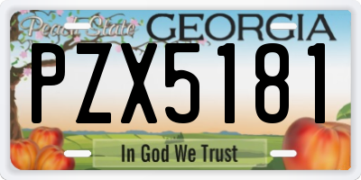 GA license plate PZX5181