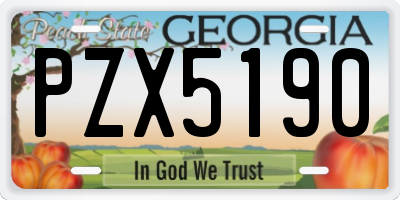 GA license plate PZX5190