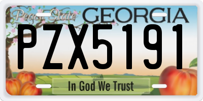 GA license plate PZX5191