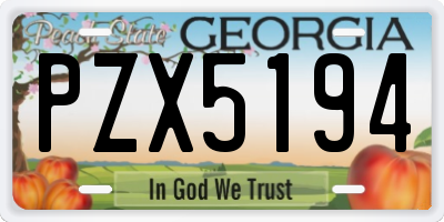 GA license plate PZX5194