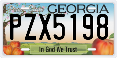 GA license plate PZX5198
