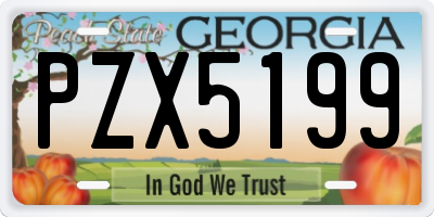 GA license plate PZX5199