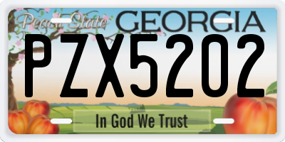 GA license plate PZX5202