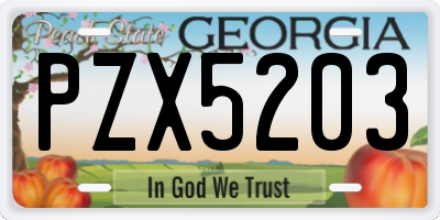 GA license plate PZX5203