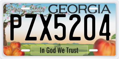 GA license plate PZX5204