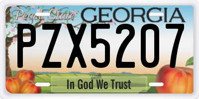 GA license plate PZX5207
