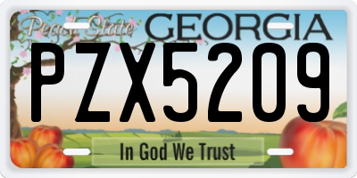 GA license plate PZX5209