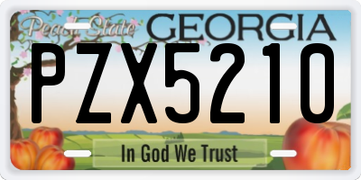 GA license plate PZX5210